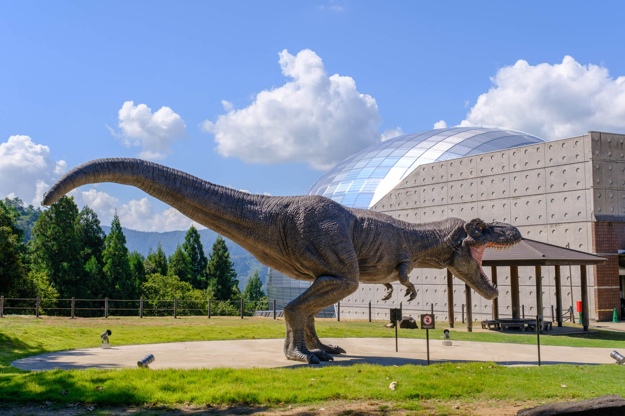 福井の室内ドッグランでペットと素敵な思い出を作りましょう！
